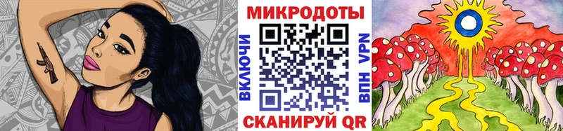 Псилоцибиновые грибы Psilocybine cubensis  Емва 