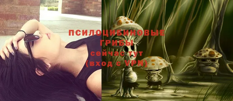 Псилоцибиновые грибы Magic Shrooms  Емва 